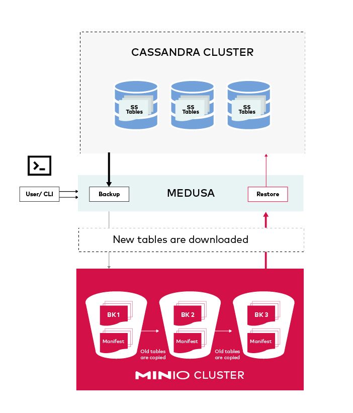 1680428311680139.jpeg CassandraMinIO.jpeg