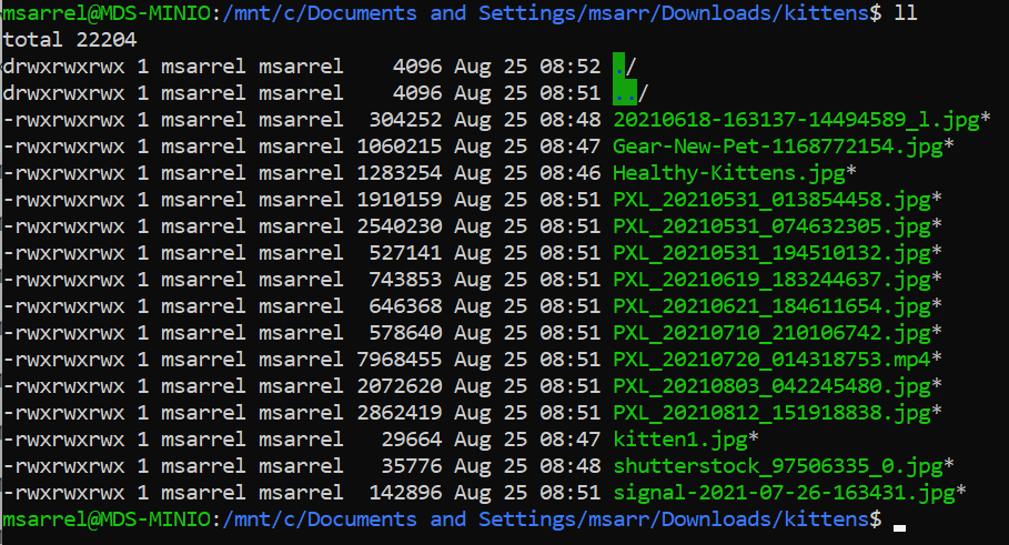 pasted image 0 - 2023-04-03T122344.271.png