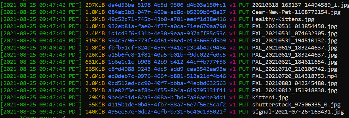 pasted image 0 - 2023-04-03T122517.538.png