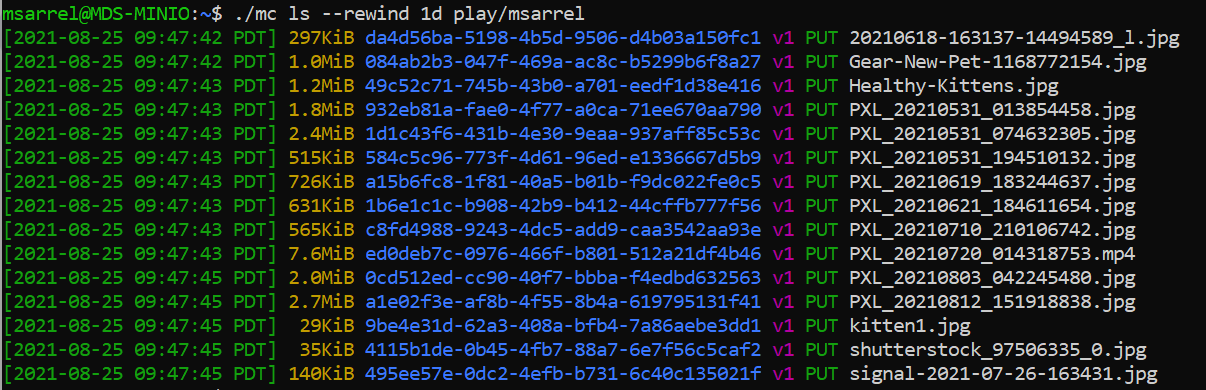 pasted image 0 - 2023-04-03T122545.067.png