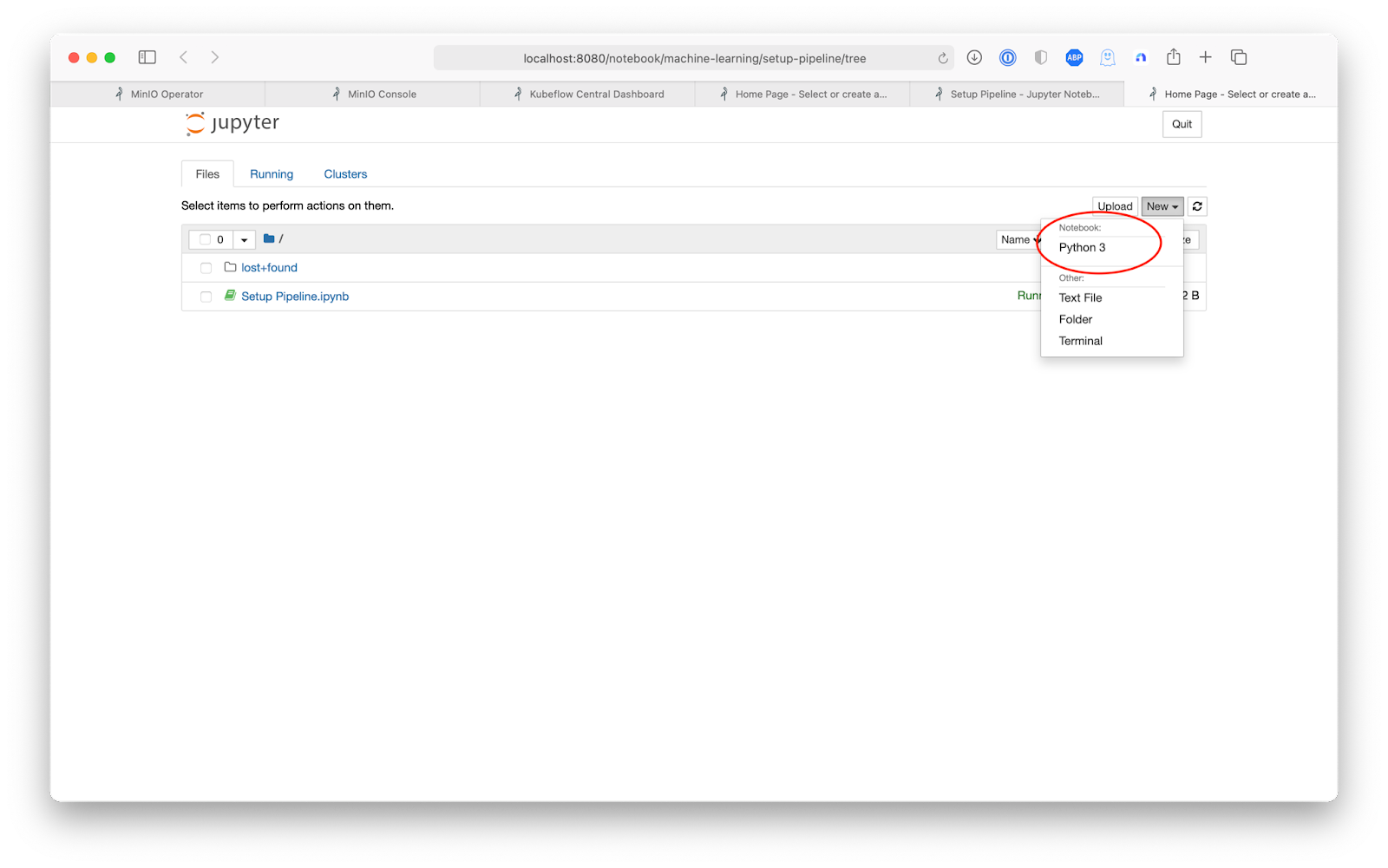 Screen Shot 2021-06-29 at 12.16.09 PM.png