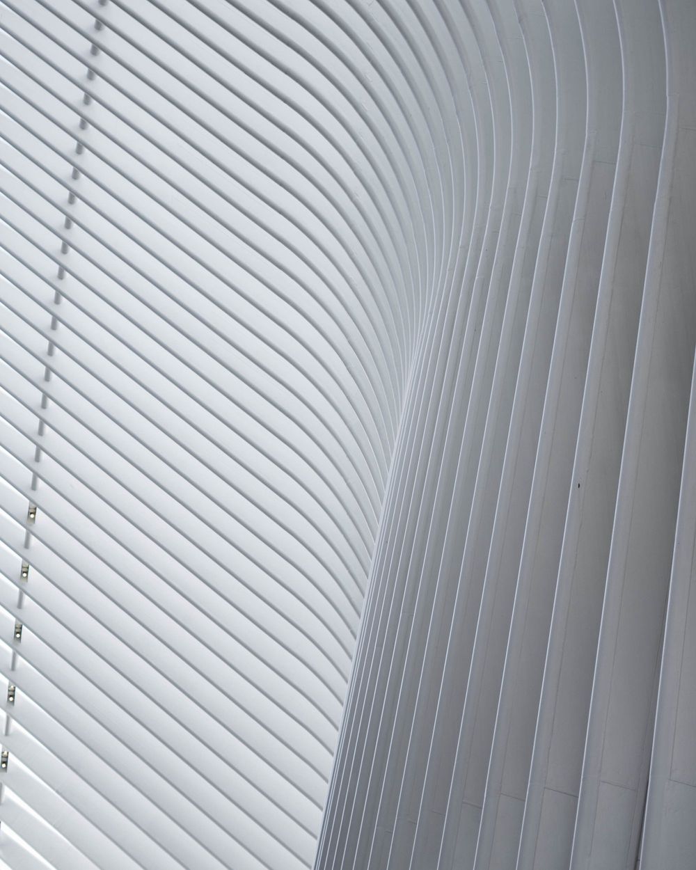 The Architect’s Guide to Data and File Formats