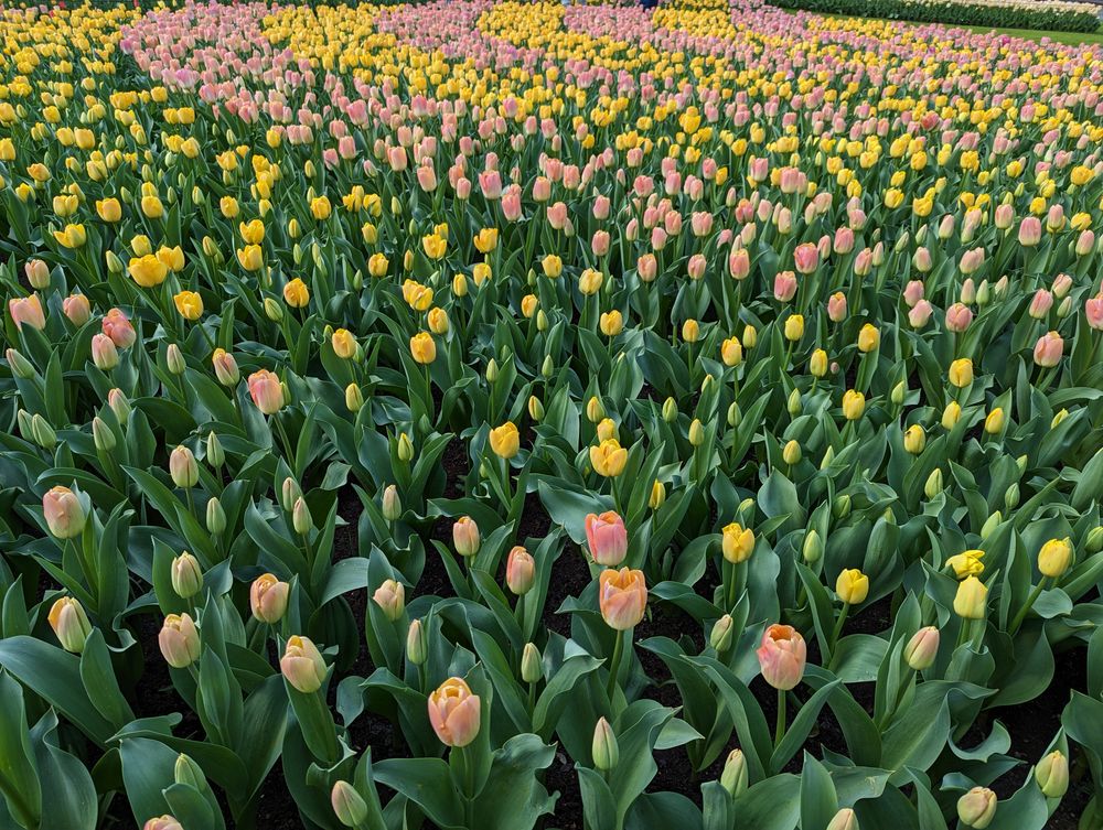 The Architect’s Guide to Data and File Formats